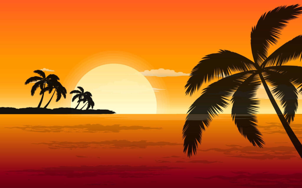 Tropical Sunset Wallpaper: Majestic Palm Trees & Radiant Colors