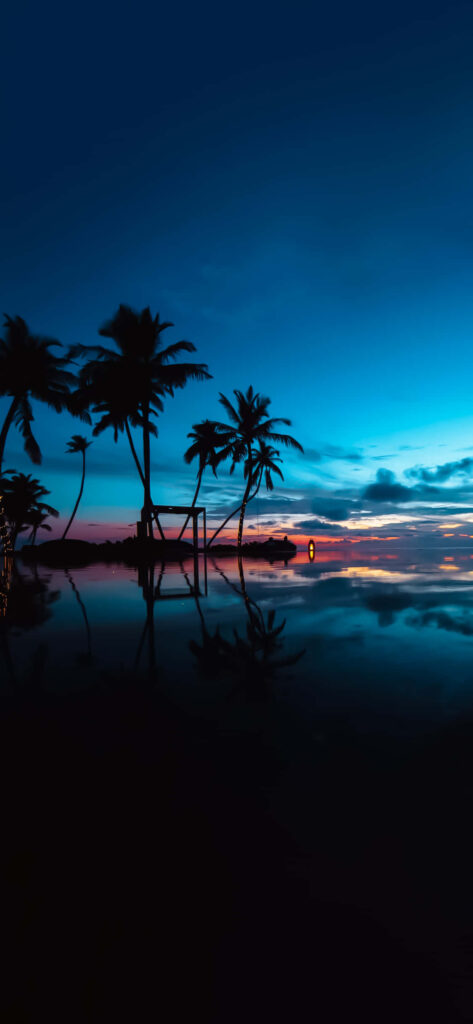 Tropical Sunset Wallpaper: Palm Trees & Vibrant Blue-Orange Sky