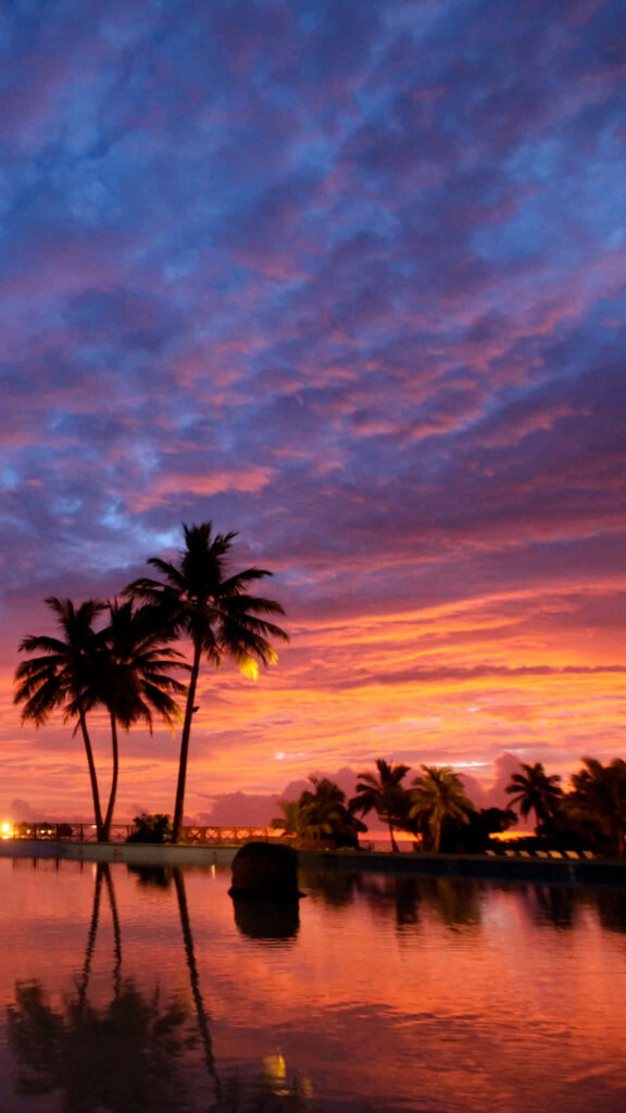 Tropical Sunset Wallpaper: Vivid Orange & Pink Sky Reflections