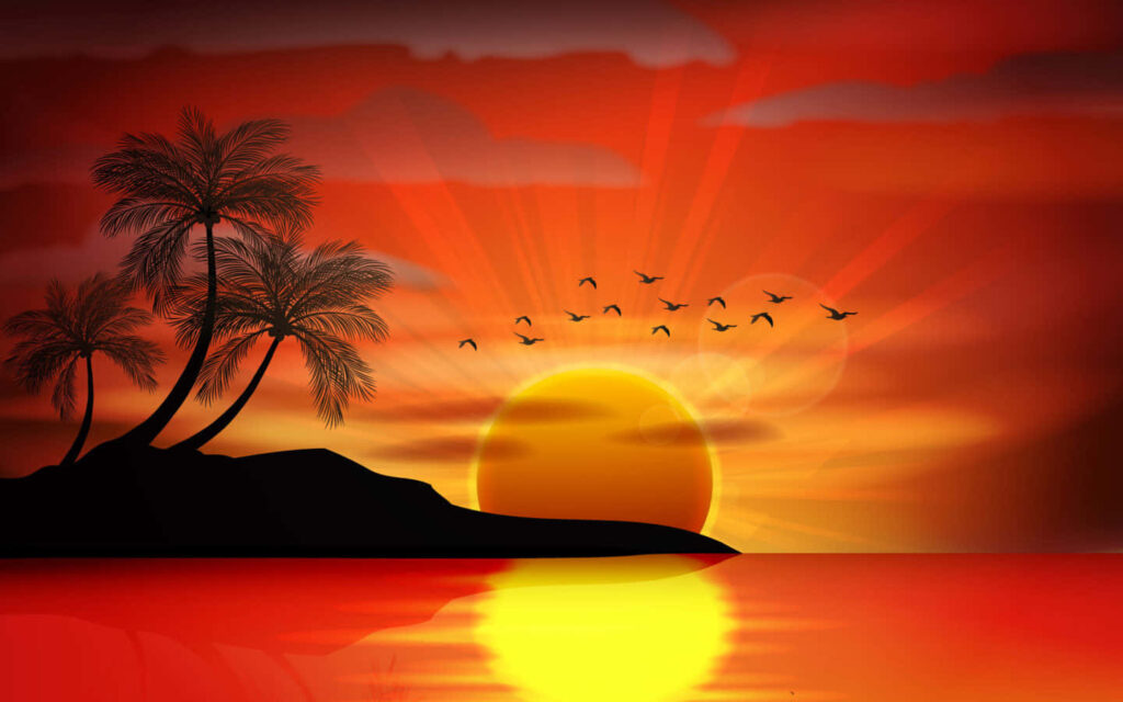 Vibrant Tropical Sunset Wallpaper with Silhouetted Palm Trees