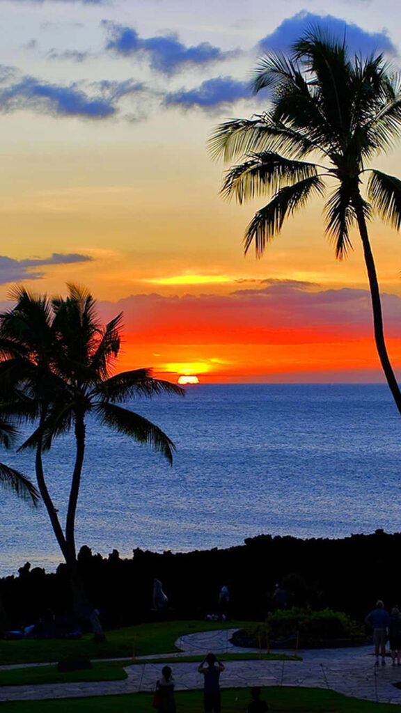 Stunning Tropical Sunset Wallpaper: Serene Ocean & Silhouetted Palms