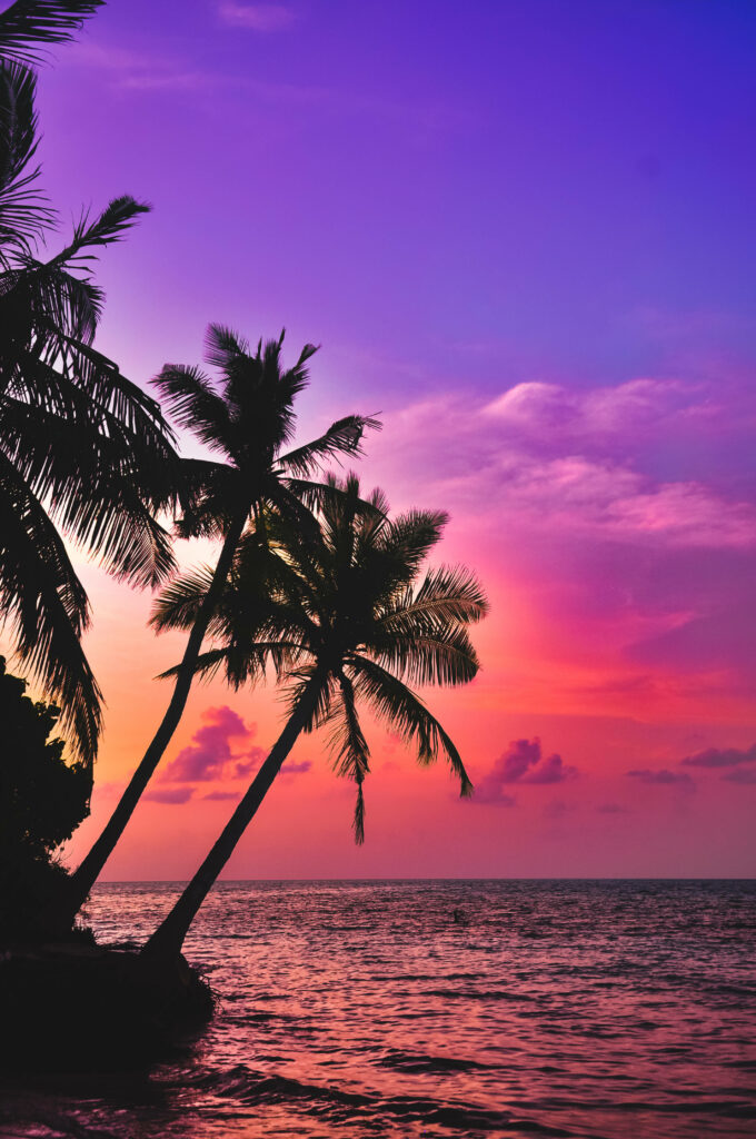 Tropical Sunset Wallpaper: Palm Trees & Vibrant Summer Sky