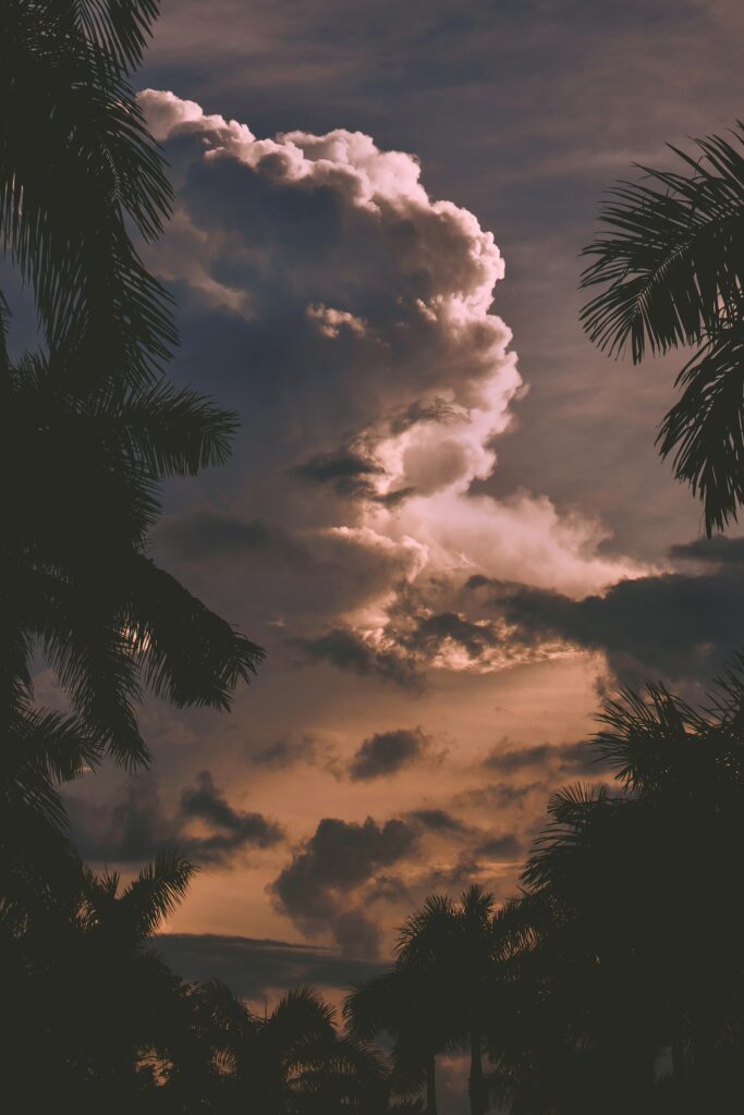 Tropical sunset wallpaper with vibrant clouds and palm tree silhouettes in warm orange tones