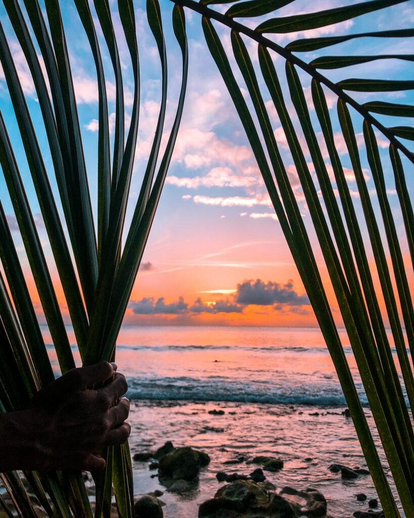 Sunset over calm sea framed by palm leaves with hand parting leaves tropical wallpaper background