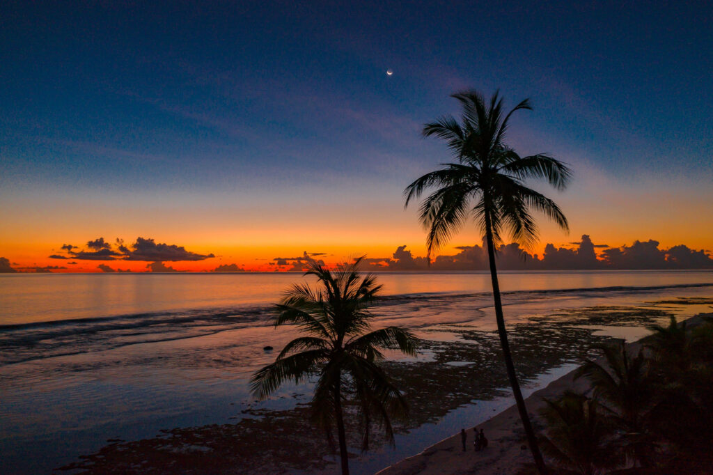 Tropical Sunset Wallpaper: Serene Sea & Coconut Tree Silhouette