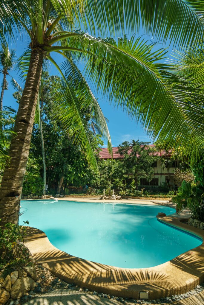 Tropical pool with turquoise water palm trees lush greenery under clear blue sunny sky wallpaper
