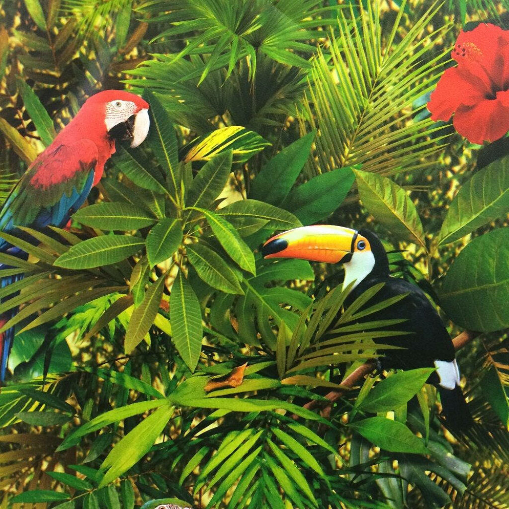 Vibrant Jungle Serenity: A Parrot Perched on a Leafy Branch Amidst a Lush Tropical Haven Wallpaper