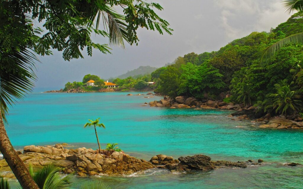Tropical coastal wallpaper with turquoise sea rocky shore lush palms dense green foliage serene view