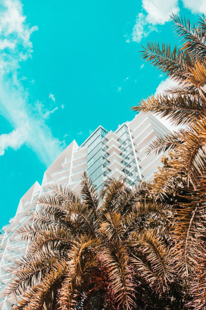 Modern high-rise building framed by palm trees under vibrant turquoise sky tropical cityscape view Wallpaper