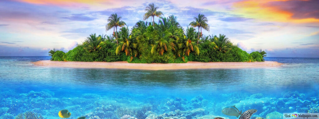 Tropical Island Wallpaper: Palm Trees, Ocean, and Vibrant Corals