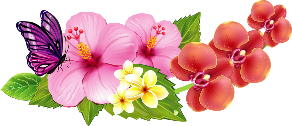 Vibrant Tropical Wallpaper: Pink Hibiscus, Red Orchids & Butterfly