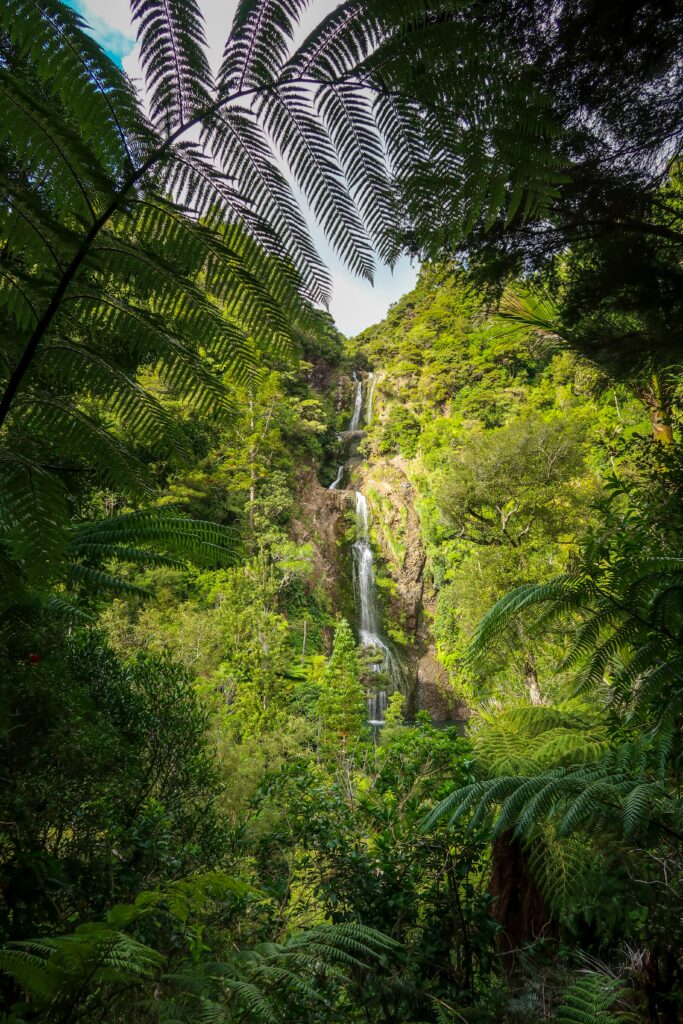 Tropical waterfall wallpaper with lush jungle foliage sunlight filtering through green leaves