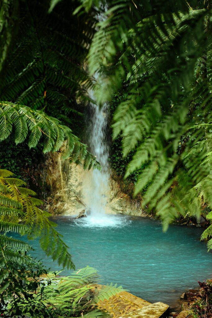 Tropical waterfall flowing into clear blue pool with palm trees and lush green foliage wallpaper
