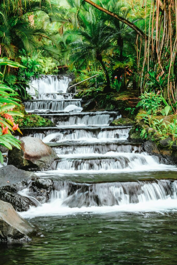 Tropical waterfall flowing over stones surrounded by lush green leaves in a rainforest stream Wallpaper
