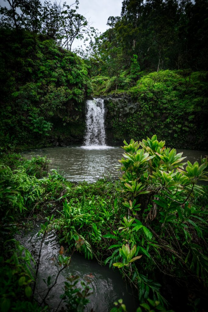 Serene tropical waterfall with lush green vegetation vibrant leaves and calm reflective pool wallpaper