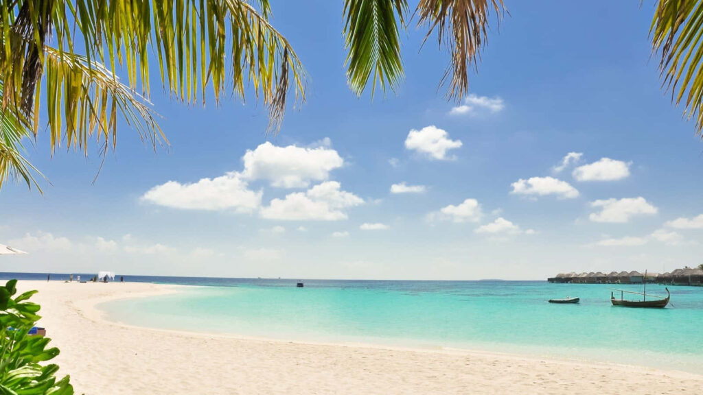 Tropical Paradise Zoom Background: White Sand Beach & Turquoise Waters Wallpaper
