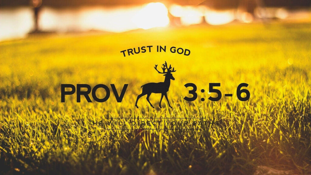 Trusting in God amidst lush greenery - Aesthetic Bible Wallpaper from Proverbs 3:5