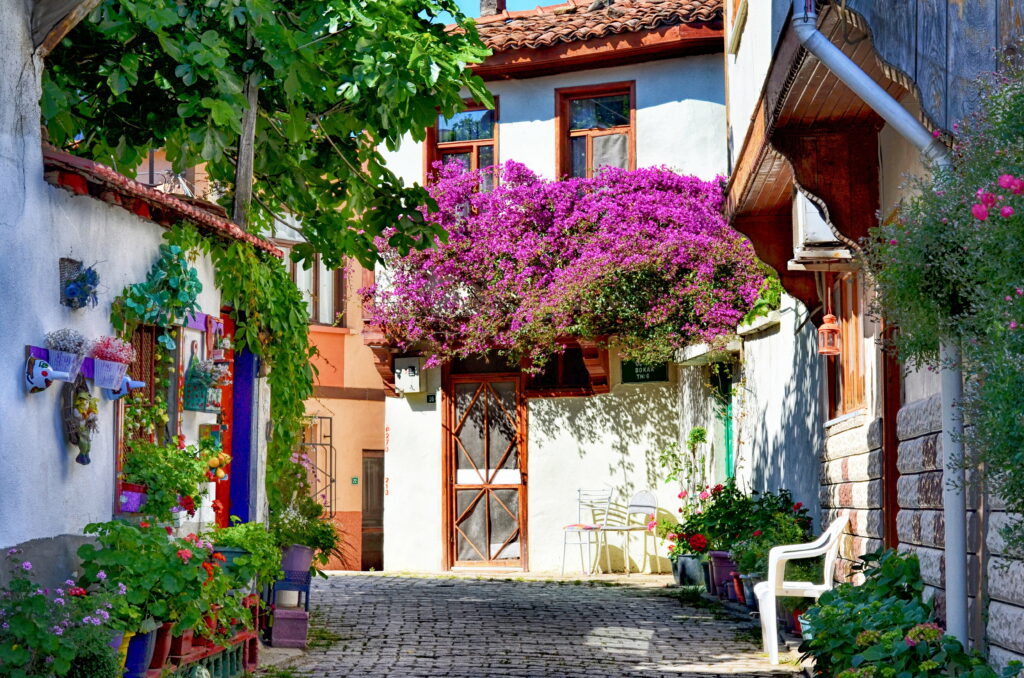 Sunlit Turkish alley with purple bougainvillea and colorful potted flowers on cobblestone path Wallpaper