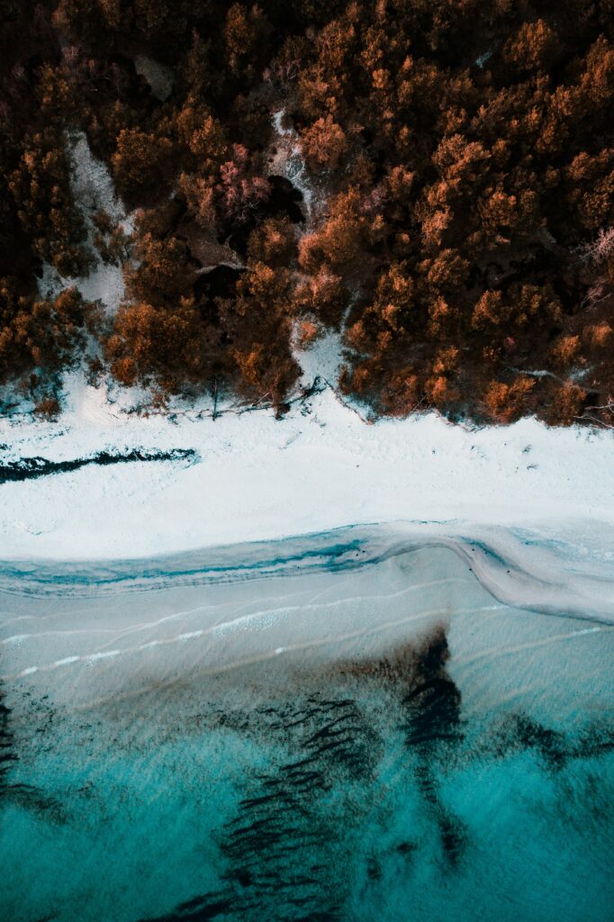 Aerial view of turquoise sea white beach and autumn forest coastline natural scenic wallpaper