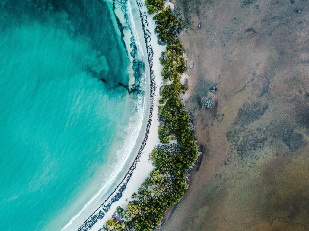 Aerial view of turquoise sea and white sandy coast with green bushes vibrant natural wallpaper