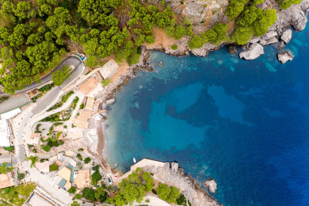 Aerial view of turquoise coastline with lush trees and charming buildings in coastal wallpaper
