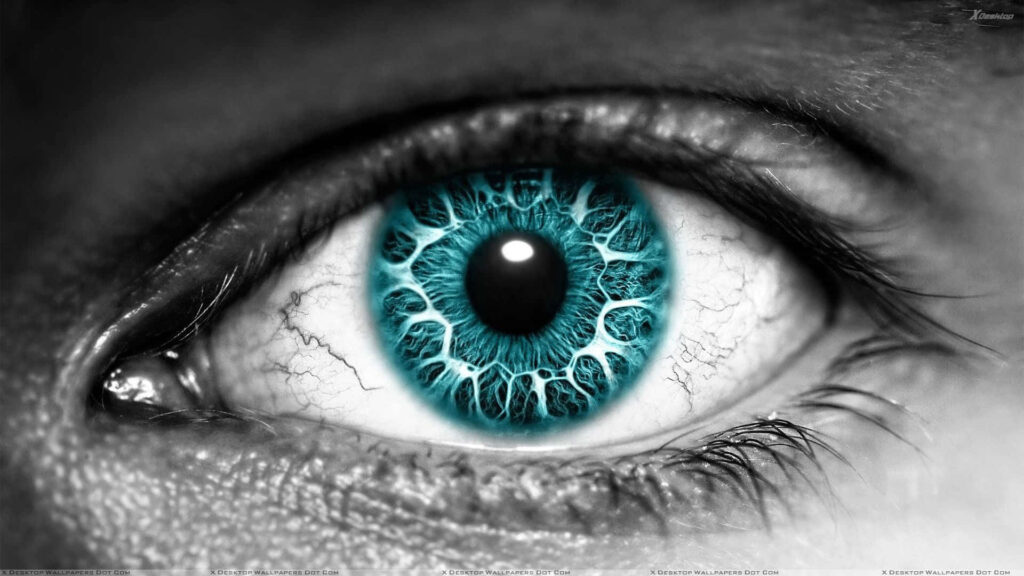 Closeup of human eye with vivid turquoise iris and coral-like patterns on monochrome background Wallpaper