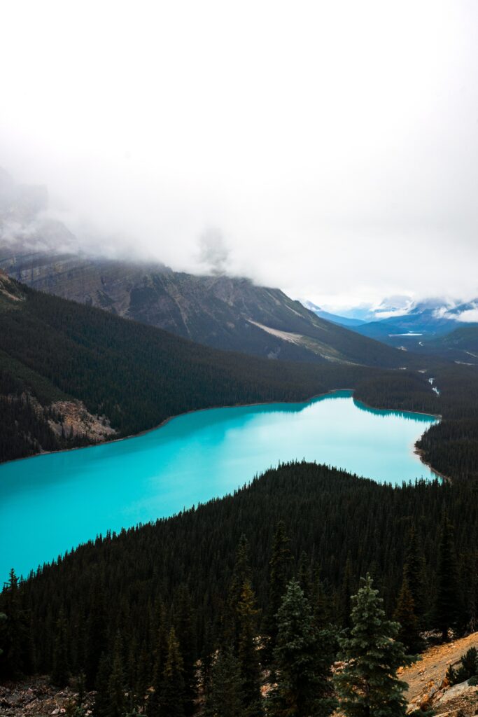 Aerial view of turquoise lake winding through pine forests and misty rugged mountains landscape Wallpaper