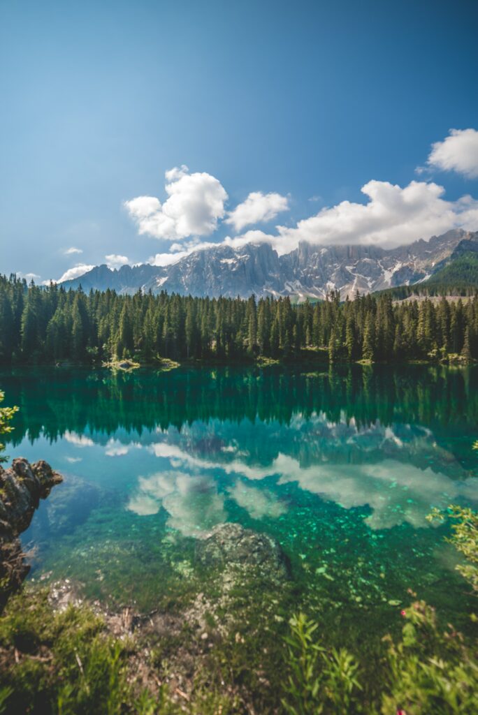 Turquoise lake reflecting towering spruce trees and rugged mountain peaks under blue sky Wallpaper