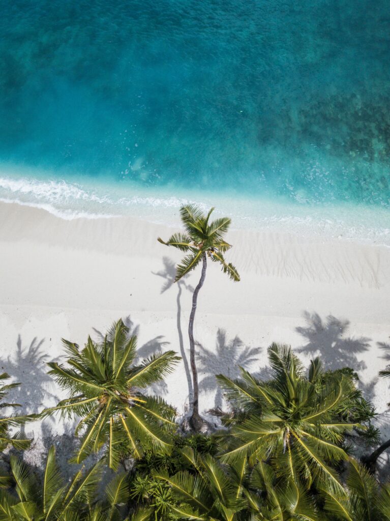 Aerial view of Maldives turquoise waves white sand and green palm trees tropical paradise wallpaper