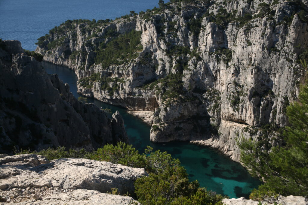 Dramatic gorge with white rocks turquoise water lush green trees serene natural landscape wallpaper