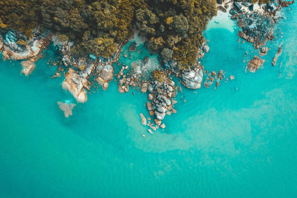 Aerial view of rugged rocky coast with green foliage meeting vibrant turquoise sea wallpaper background