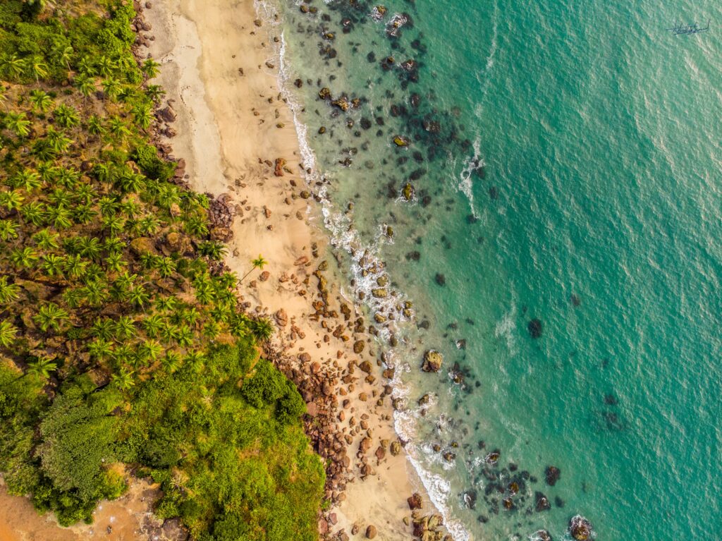 Aerial view of vibrant turquoise waves meeting golden sand with lush trees and rocky shore Wallpaper
