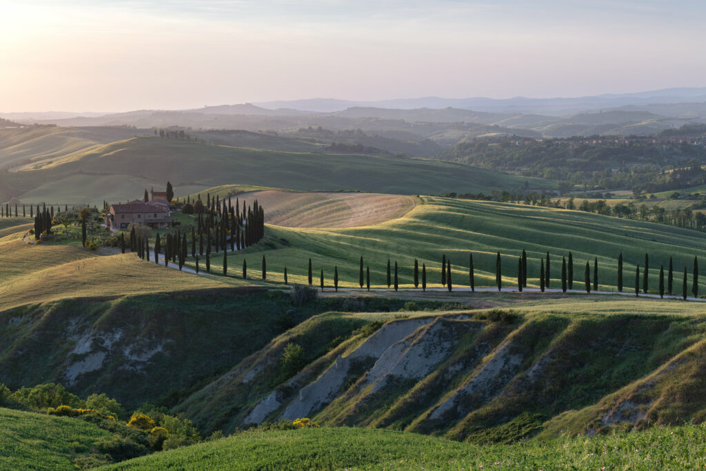 Tuscany countryside wallpaper with rolling hills cypress trees rustic farmhouse and golden fields