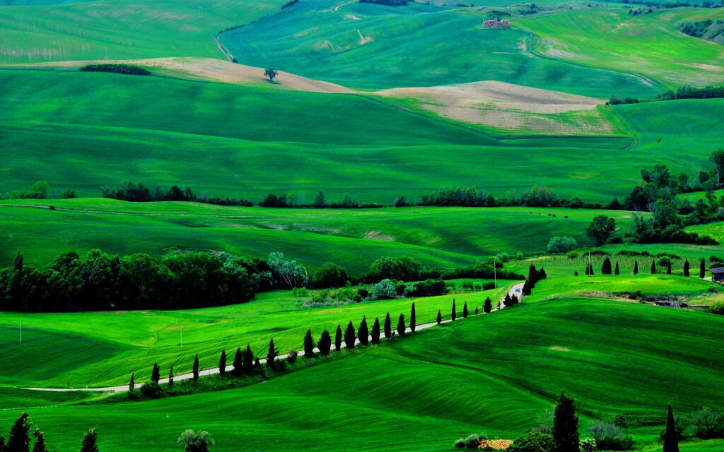 Tuscany wallpaper with rolling green hills and winding cypress roads in Val d'Orcia Italy
