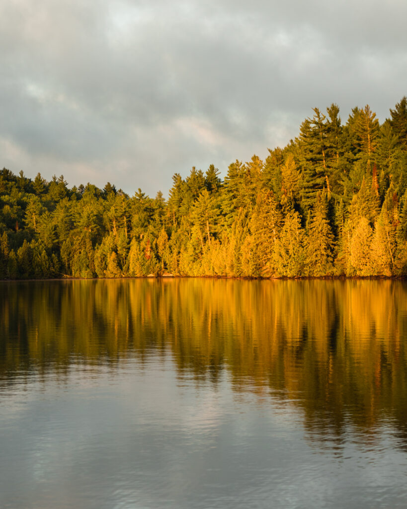 Serene twilight forest reflected on calm lake with warm golden light and green amber hues wallpaper