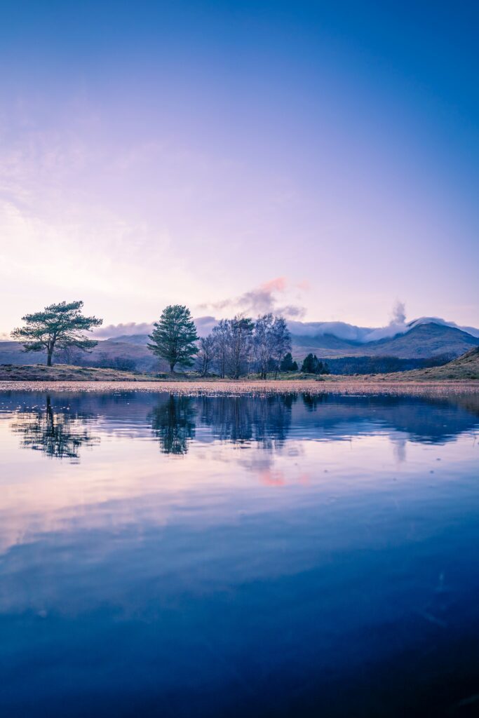 Twilight lake with trees reflecting on calm water and misty mountains in peaceful landscape wallpaper