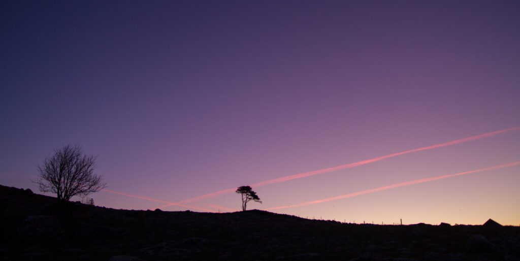 Twilight landscape with two tree silhouettes and vibrant purple orange sky with pink jet streaks Wallpaper