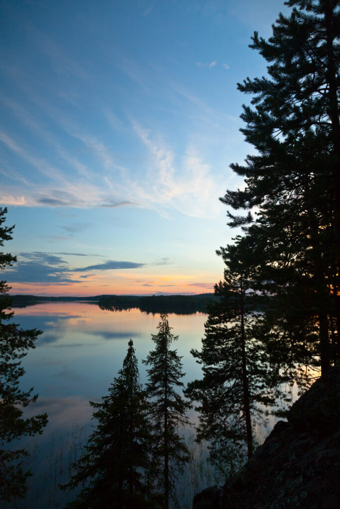 Twilight landscape wallpaper with pine tree silhouettes reflecting on calm lake under blue orange sky