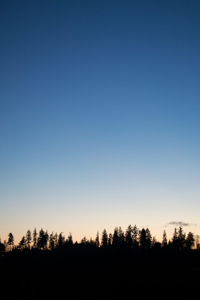 Twilight wallpaper with dark tree silhouettes and a calm gradient sky from orange to deep blue