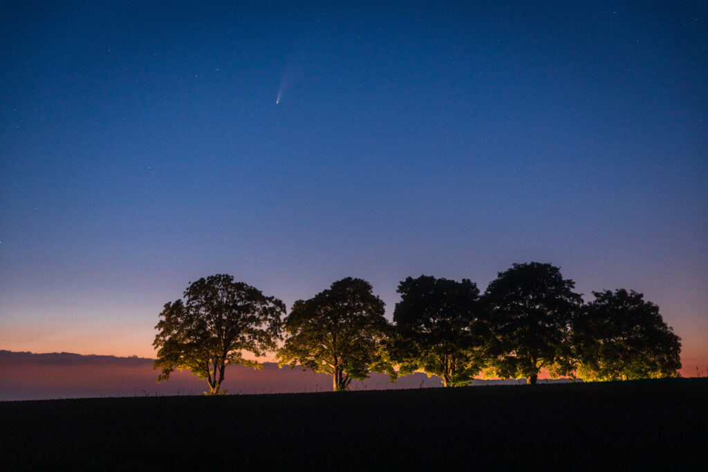 Twilight landscape wallpaper with tree silhouettes comet in clear deep blue sky over open field