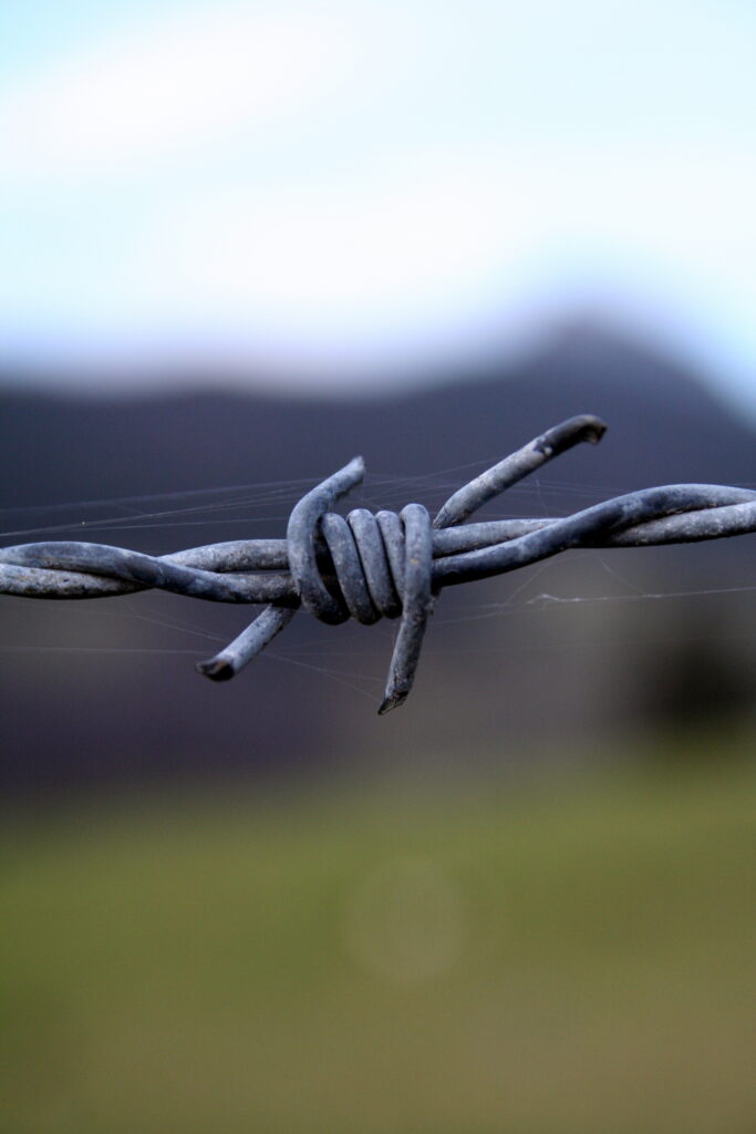 Twisted Barbed Wire Close-Up: Sharp Contrast Wallpaper Background