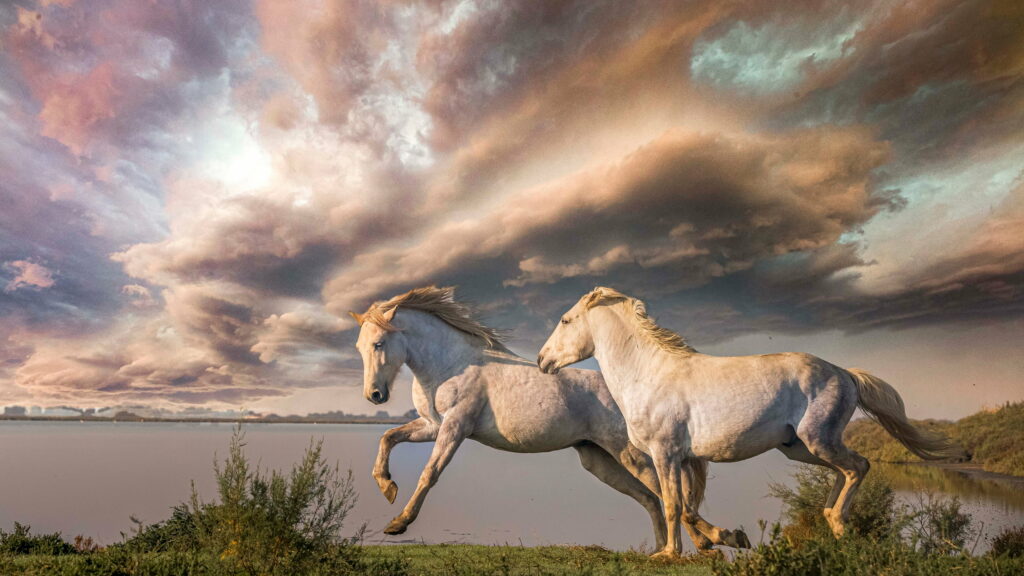 Gallop Freely Across Majestic Landscape Wallpaper