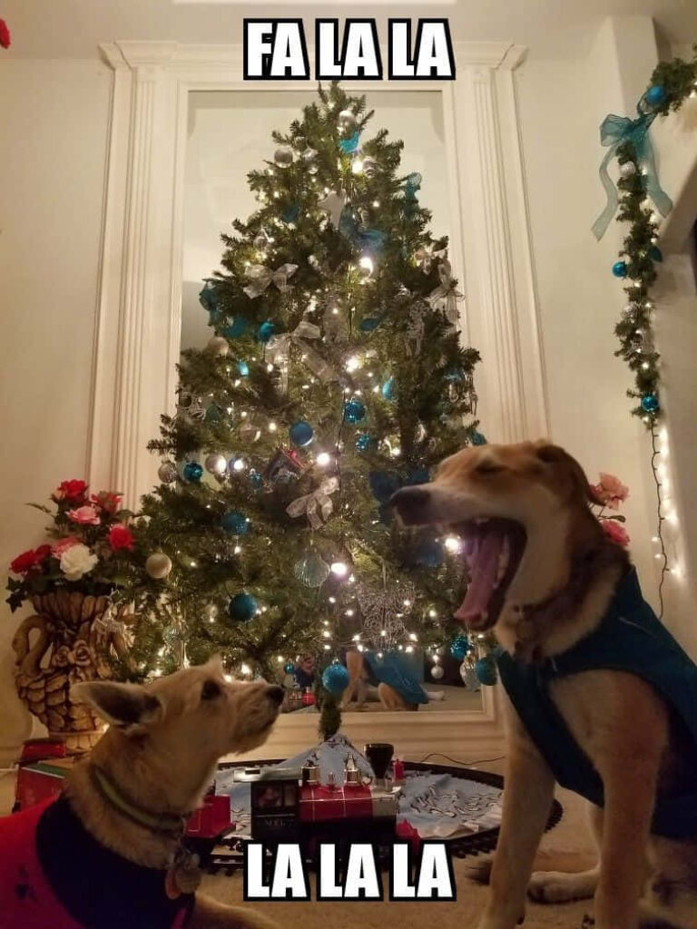 Two Dogs & a Festive Yawning Scene by Christmas Tree – FA LA LA! Wallpaper