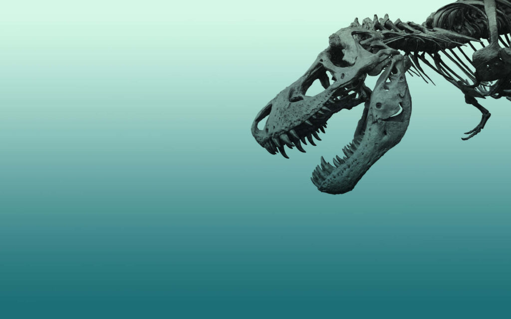 Tyrannosaurus Rex Skeleton Exhibit on Teal Gradient Wallpaper