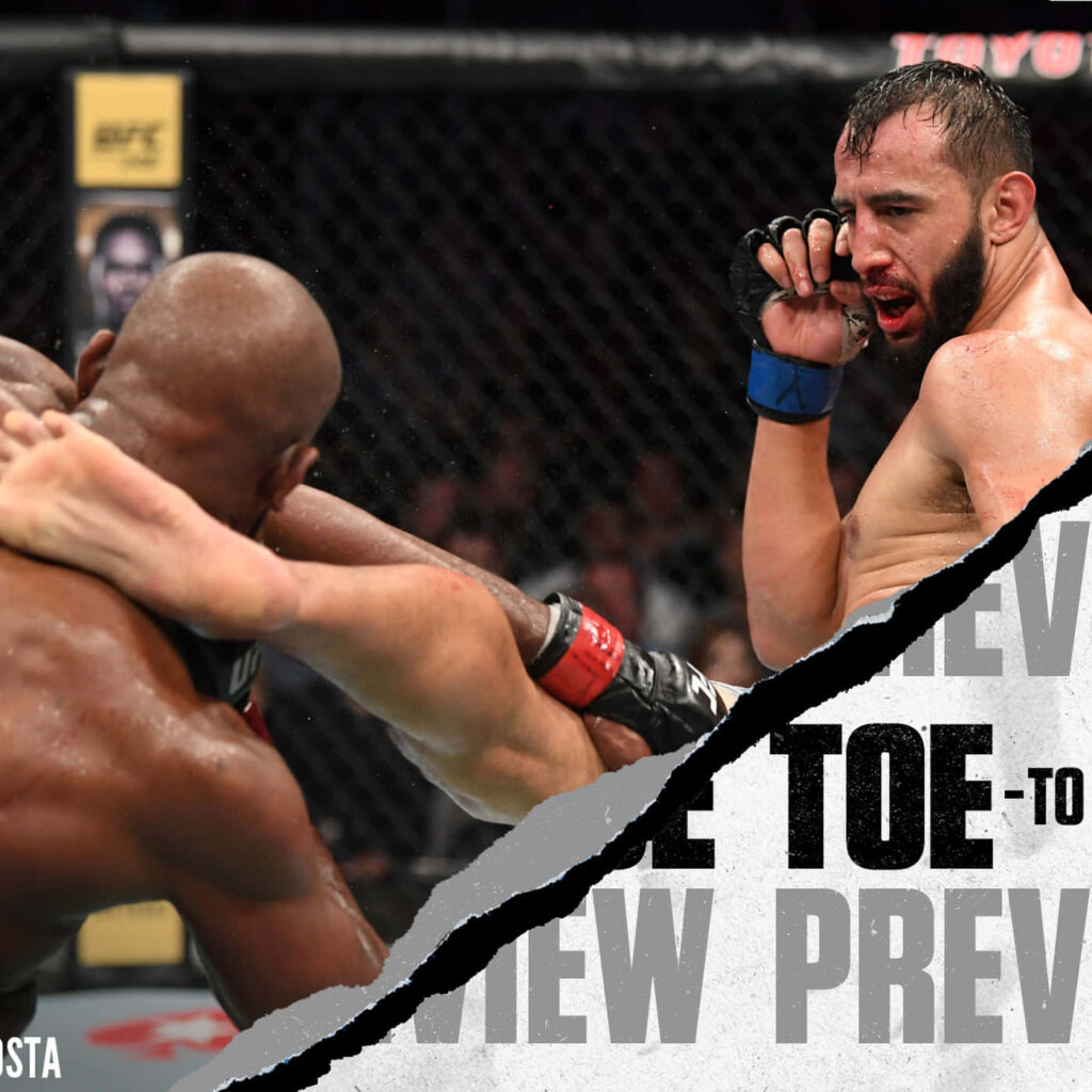 UFC 247 Light Heavyweight title fight Jon Jones vs Dominick Reyes intense octagon action wallpaper
