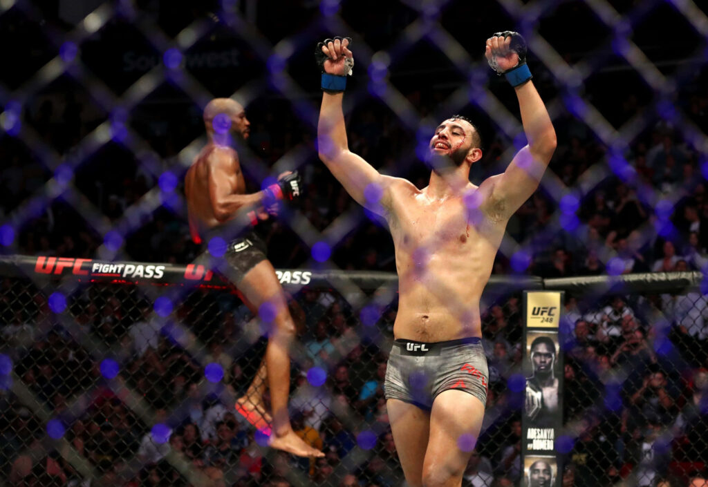 UFC 247 Light Heavyweight Championship Jon Jones vs Dominick Reyes intense fight wallpaper