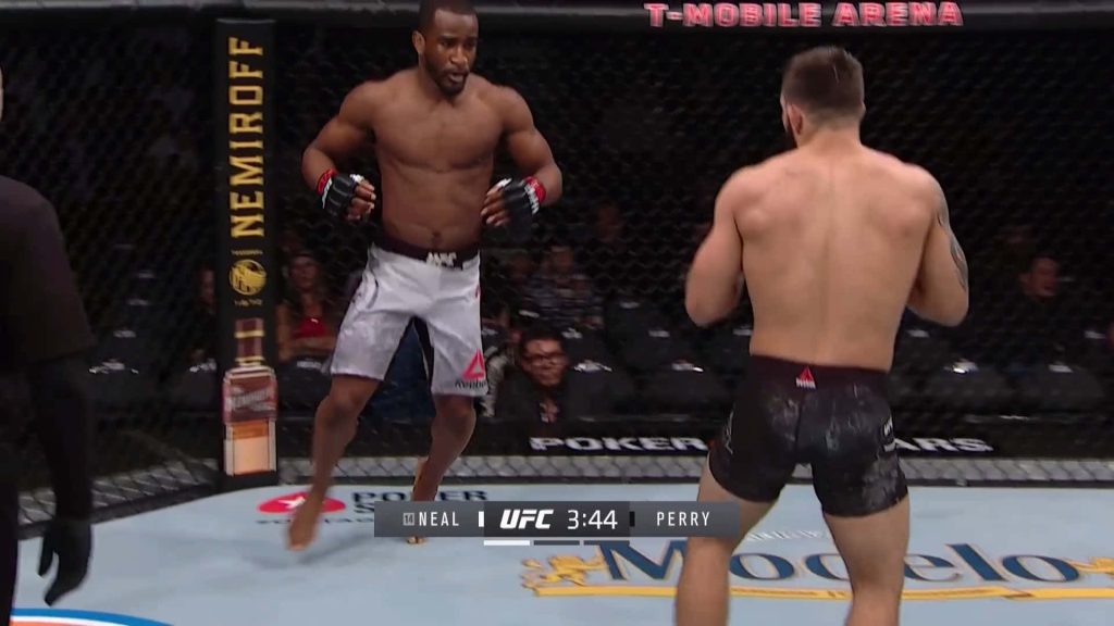 UFC fight Geoff Neal vs Mike Perry intense MMA action inside octagon at T-Mobile Arena wallpaper