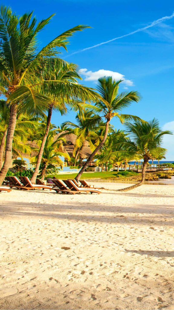 Ultimate Tropical Escape iPhone Wallpaper: Beach, Water & Palm Trees