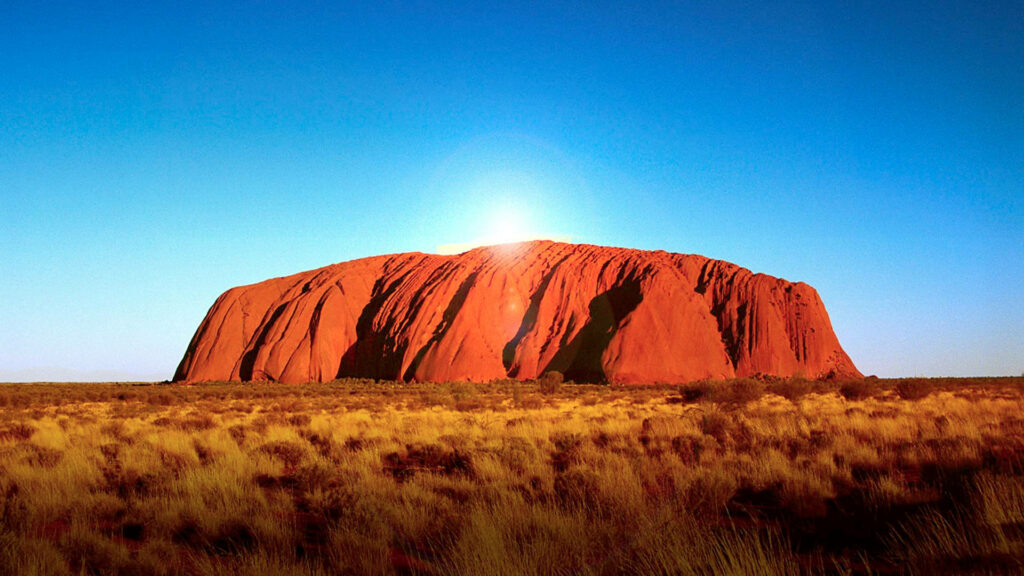 Uluru in Australian Outback glowing in golden sunlight with blue sky and grassy arid plains Wallpaper