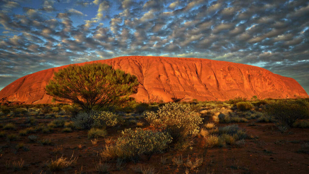 Uluru rock formation in Australian Outback glowing in sunlight with desert vegetation background Wallpaper